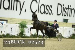 24BUCK_02523 thumbnail
