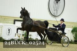 24BUCK_02524 thumbnail