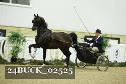 24BUCK_02525 thumbnail