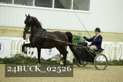 24BUCK_02526 thumbnail