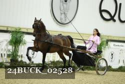 24BUCK_02528 thumbnail