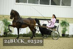 24BUCK_02529 thumbnail