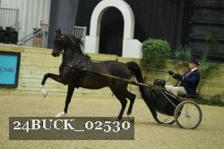 24BUCK_02530 thumbnail