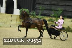 24BUCK_02531 thumbnail