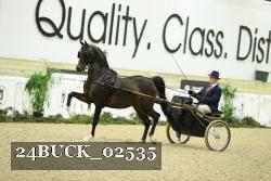 24BUCK_02535 thumbnail