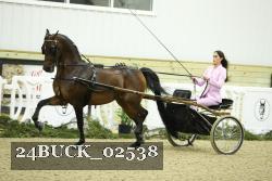 24BUCK_02538 thumbnail