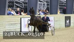 24BUCK_02540 thumbnail