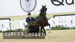 24BUCK_02543 thumbnail