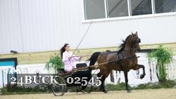 24BUCK_02545 thumbnail