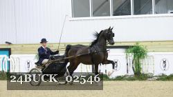 24BUCK_02546 thumbnail