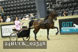 24BUCK_02548 thumbnail