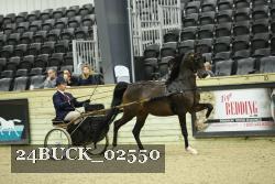 24BUCK_02550 thumbnail