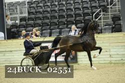 24BUCK_02551 thumbnail