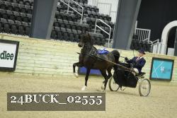 24BUCK_02555 thumbnail