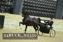 24BUCK_02556 thumbnail