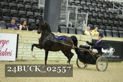 24BUCK_02557 thumbnail