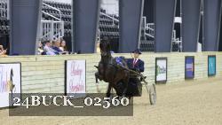 24BUCK_02560 thumbnail