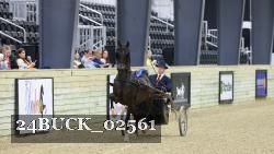 24BUCK_02561 thumbnail