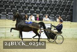 24BUCK_02562 thumbnail