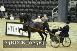 24BUCK_02563 thumbnail