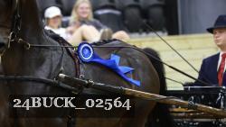 24BUCK_02564 thumbnail