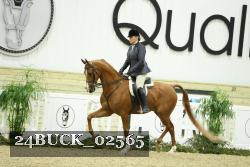 24BUCK_02565 thumbnail
