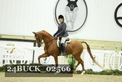 24BUCK_02566 thumbnail