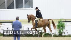 24BUCK_02567 thumbnail