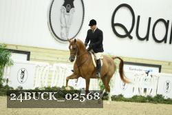 24BUCK_02568 thumbnail