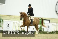 24BUCK_02569 thumbnail