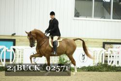 24BUCK_02571 thumbnail