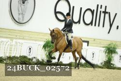 24BUCK_02572 thumbnail