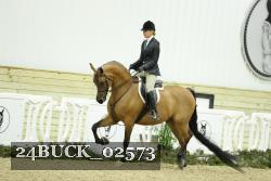 24BUCK_02573 thumbnail
