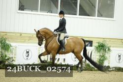 24BUCK_02574 thumbnail