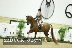 24BUCK_02577 thumbnail
