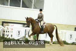 24BUCK_02578 thumbnail