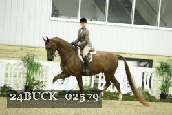 24BUCK_02579 thumbnail