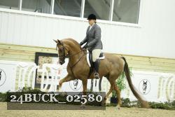 24BUCK_02580 thumbnail