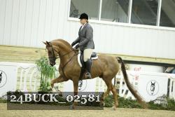 24BUCK_02581 thumbnail