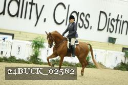 24BUCK_02582 thumbnail