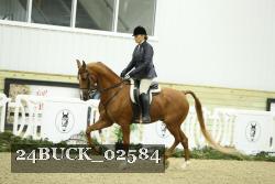 24BUCK_02584 thumbnail