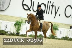 24BUCK_02586 thumbnail