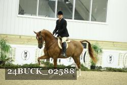 24BUCK_02588 thumbnail