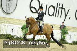 24BUCK_02589 thumbnail