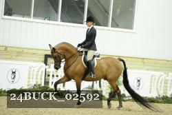 24BUCK_02592 thumbnail