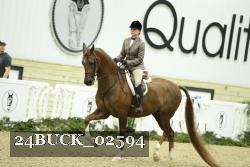24BUCK_02594 thumbnail