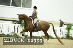 24BUCK_02595 thumbnail