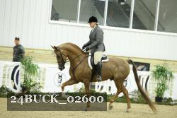 24BUCK_02600 thumbnail