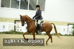 24BUCK_02603 thumbnail