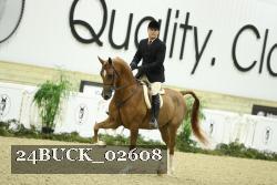 24BUCK_02608 thumbnail